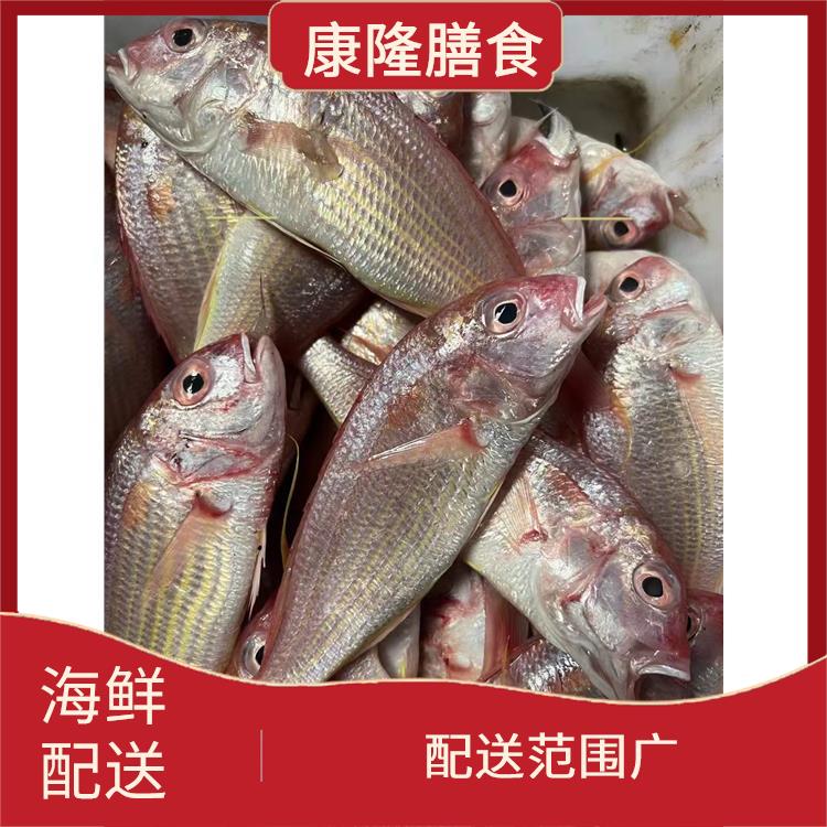 东莞南城街道海鲜配送平台 能满足不同菜品的需求 品种丰富
