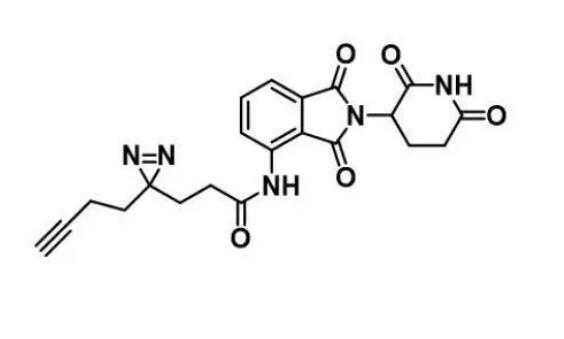 Alkyne-Diazirine-CONH-P..