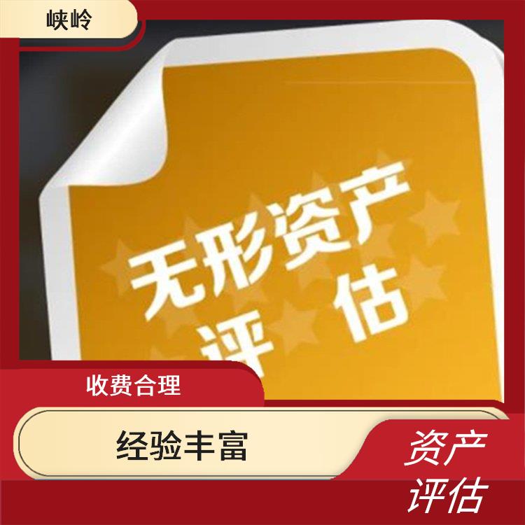 無形資產(chǎn)評估收費依據(jù) 報告嚴謹