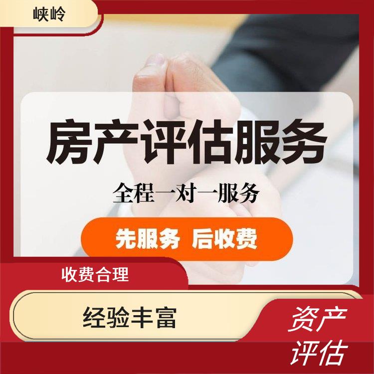 重庆无形资产评估排名 评估业务范围广 一对一服务
