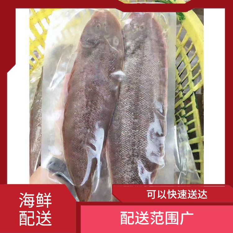 塘厦镇海鲜配送公司电话 品种丰富