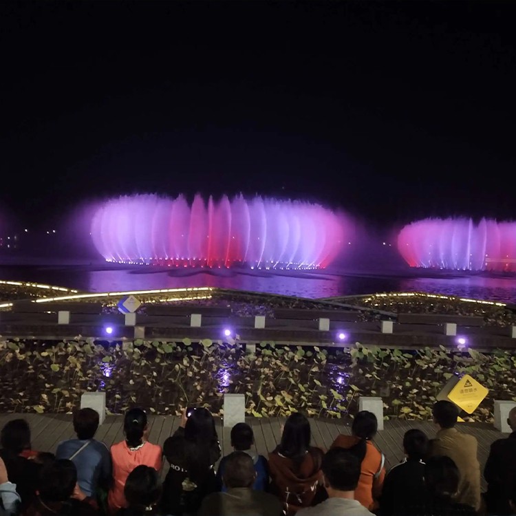 重庆大渡口音乐喷泉设备厂家-博驰环境公司,河道音乐喷泉