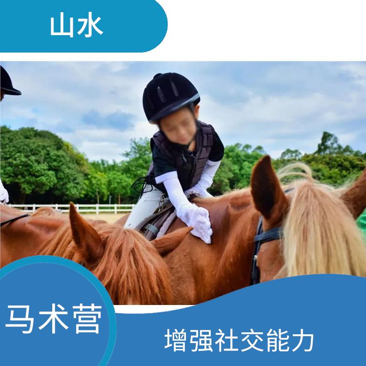 深圳国际马术营报名 培养孩子的责任感 增强社交能力