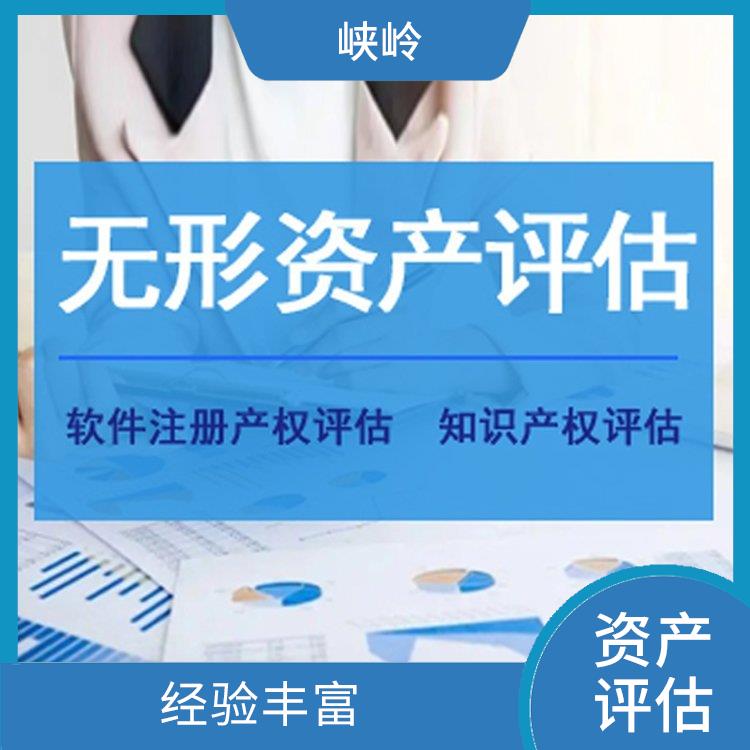 四川著作权资产评估政策 报告严谨
