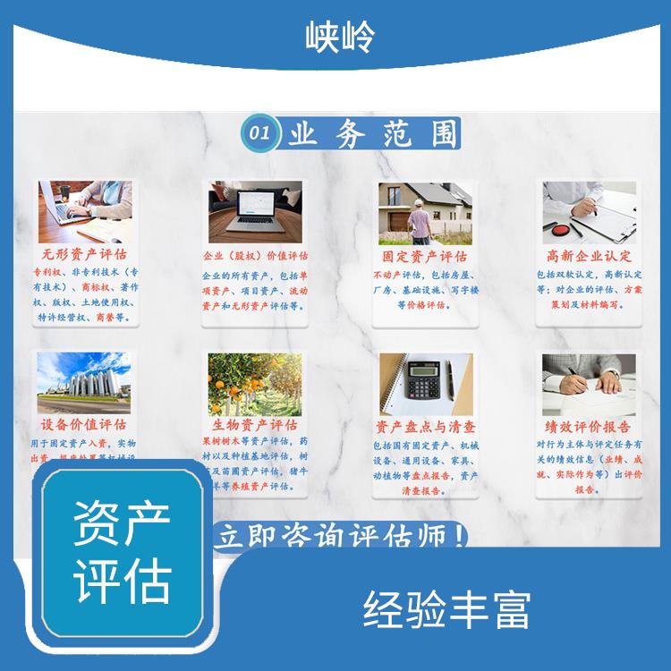 四川资质证书资产评估政策 经验丰富