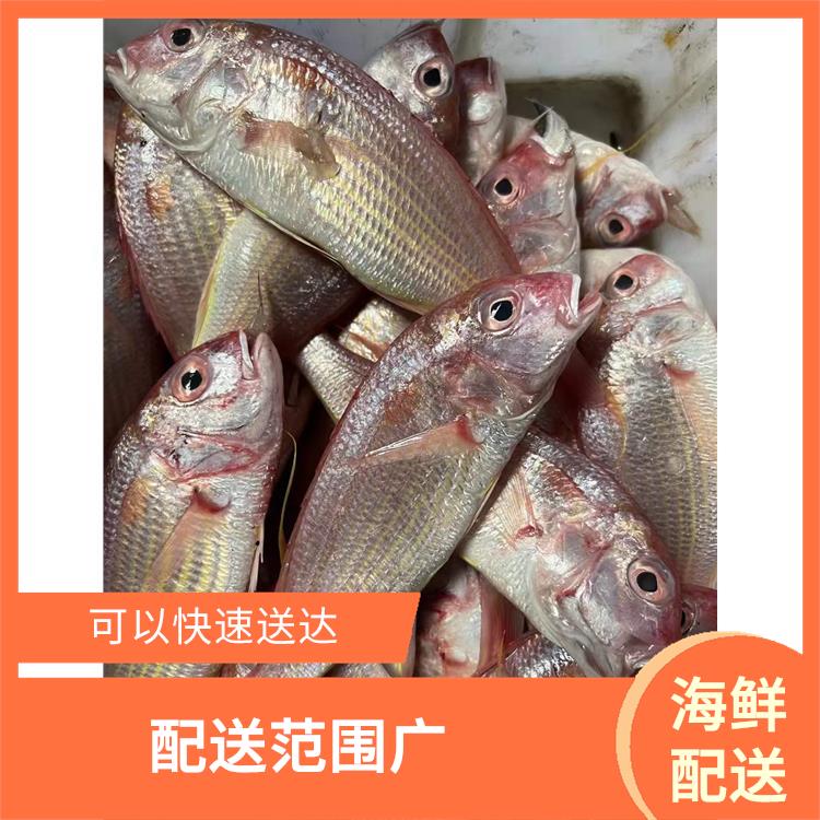 东莞企石镇海鲜配送公司 时效性较强 多样化选择