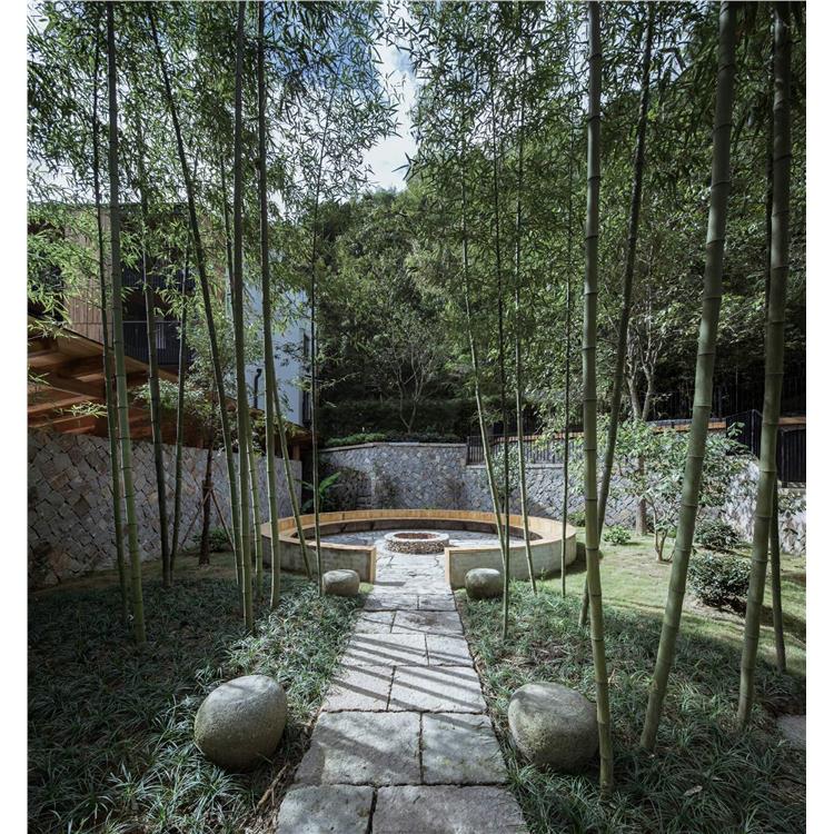 景观 园林工程 深圳小型私家花园景观设计单价