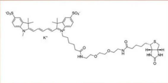 sulfo-Cyanine5-PEG3-bio..