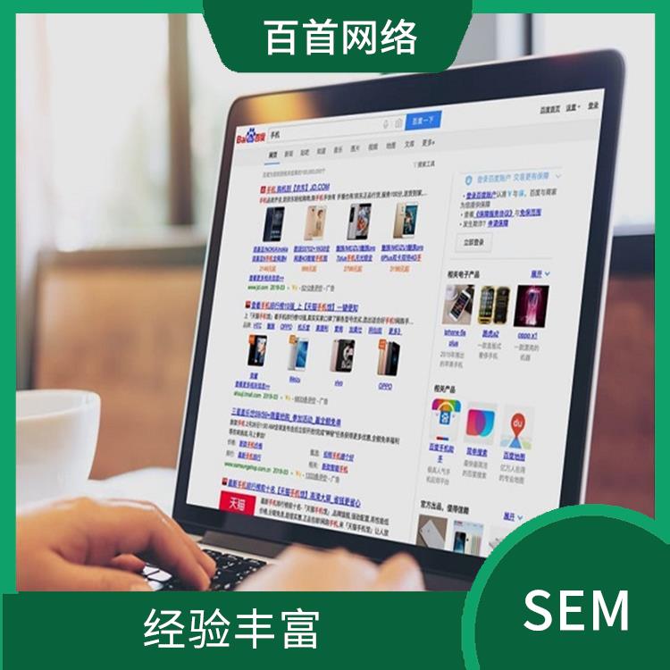 SEM营销 实时监测和报告 准确定位