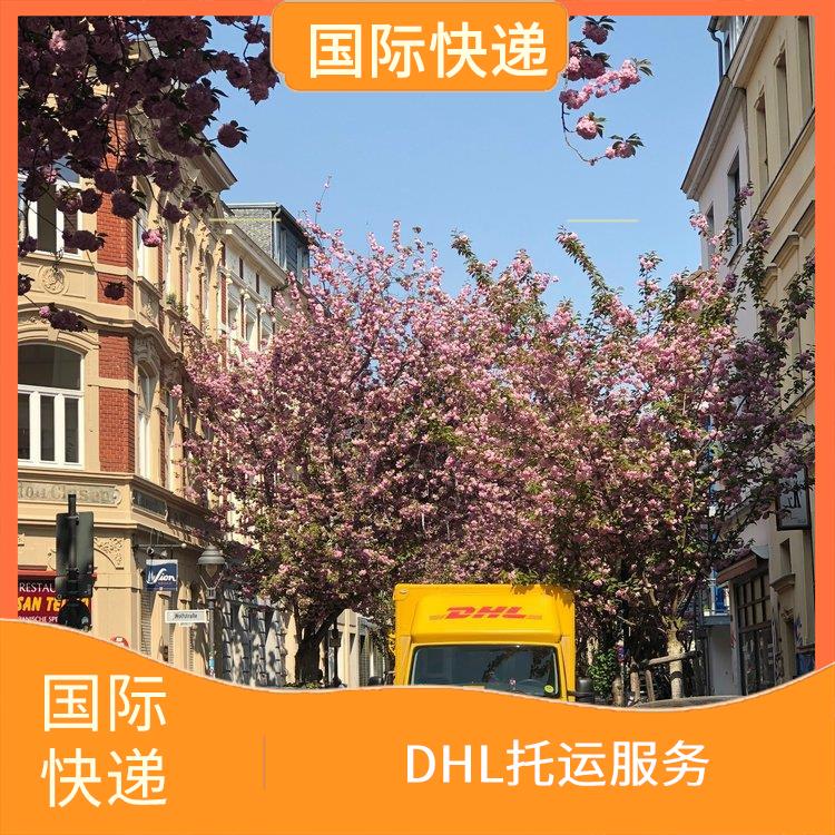 浙江DHL国际快递 DHL国际快递公司 DHL快递咨询