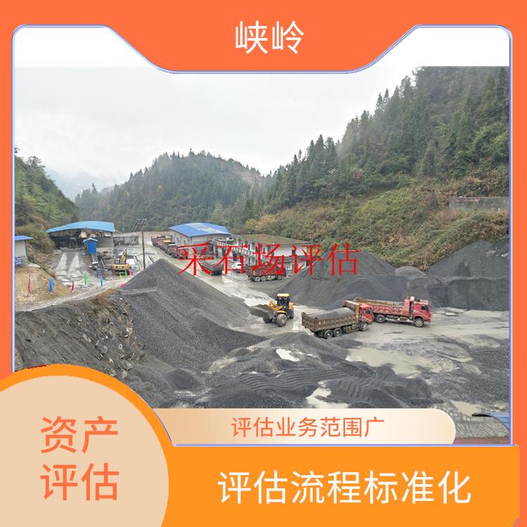 重庆固定资产评估流程 一对一服务