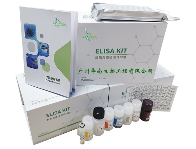 丹毒杆菌SER核酸检测试剂盒