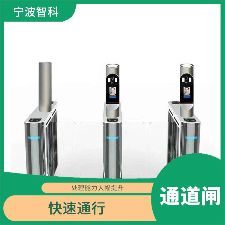 温州摆闸 安装容易