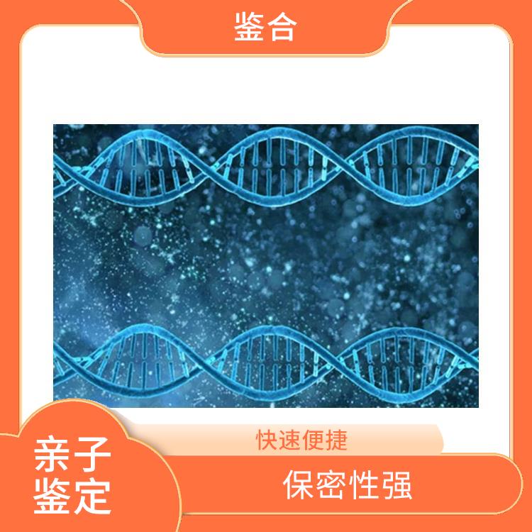 黑龙江公证DNA亲子鉴定流程 检测科学严谨