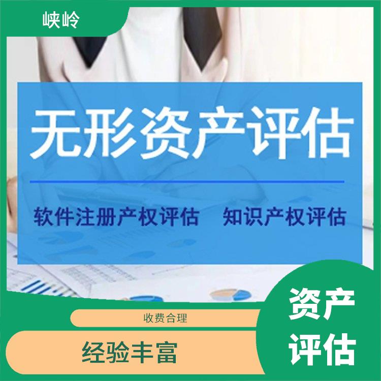 无形资产评估流程 经验丰富