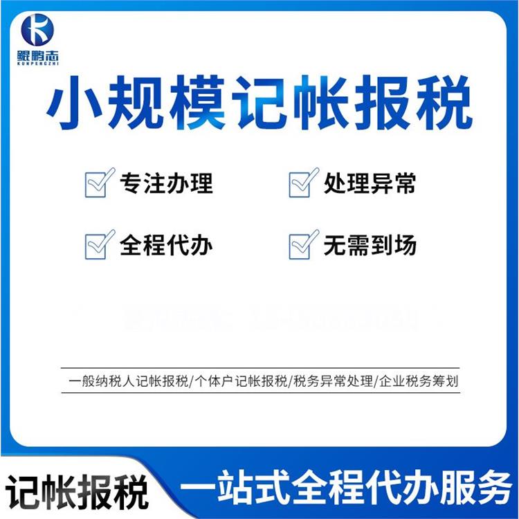 深圳民治布吉办理营业执照公司 代理记账纳税申报 上门服务