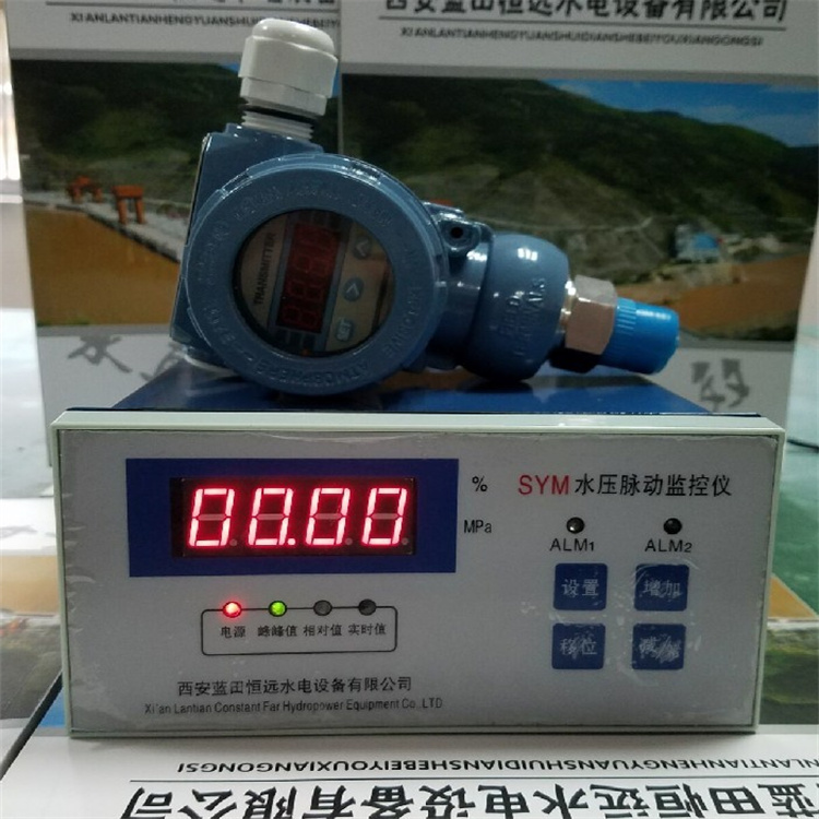 西蓝恒远SYM水压脉动监测仪装置