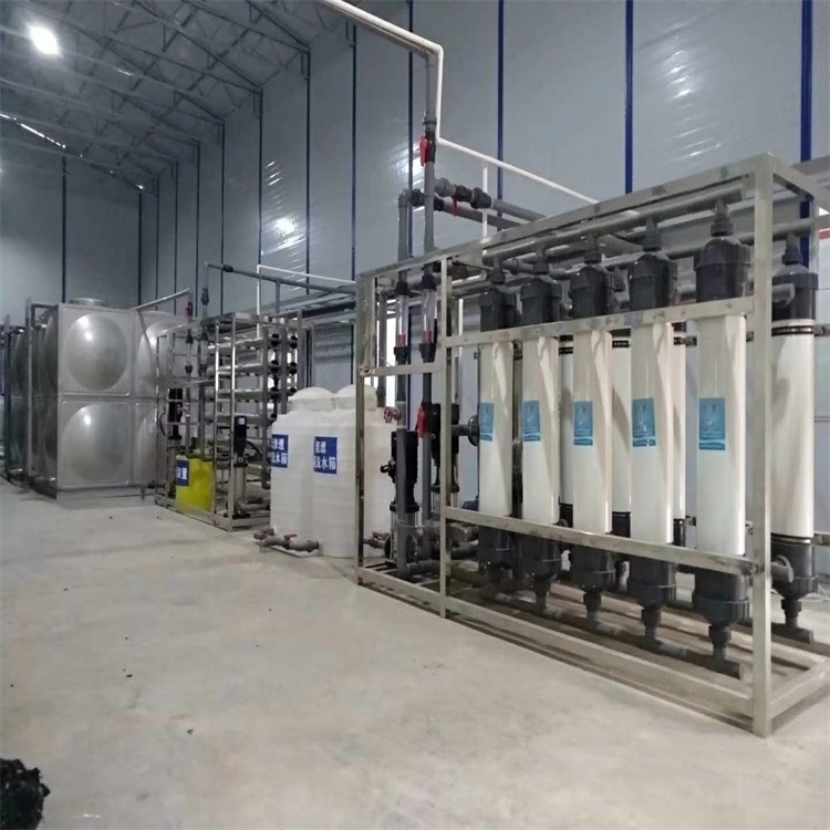 贵州双级反渗透纯水设备 广泛应用 去除水中的杂质