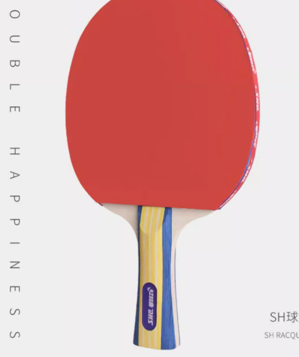 凯斯汀专业乒乓球拍单拍 刻字刻图案logo 底板套胶激光加工