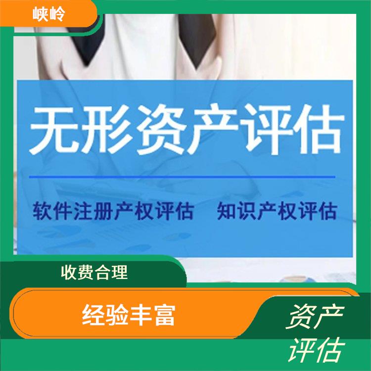 四川无形资产评估流程 经验丰富 评估流程标准化