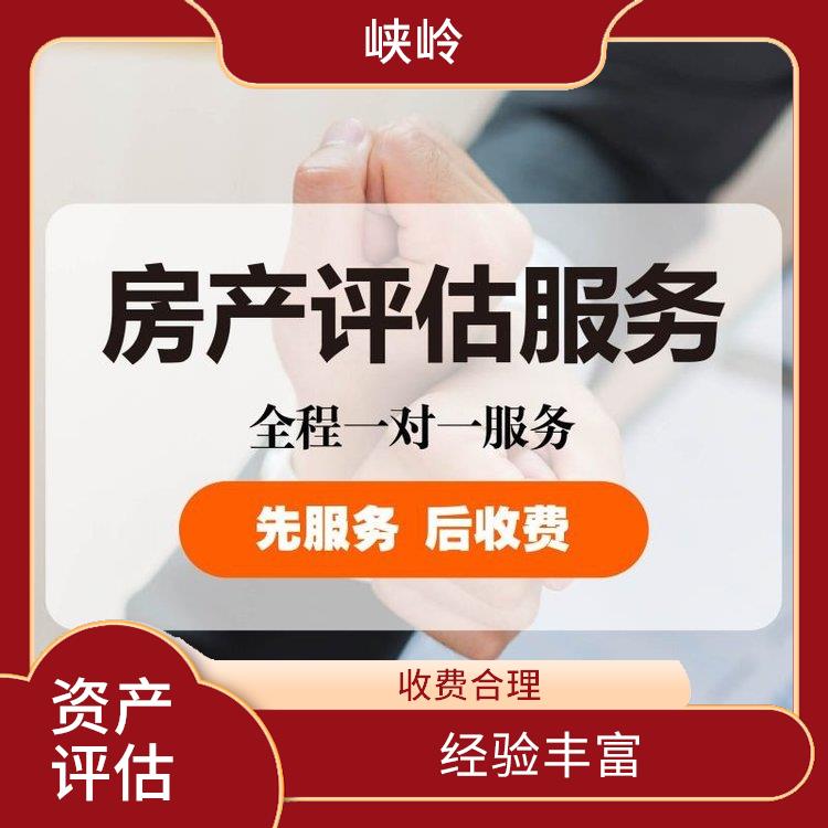 无形资产评估 评估业务范围广