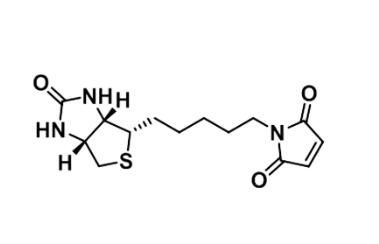 Biotin-C5-Mal     0