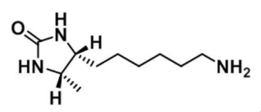 D-Desthiobiotin Amine  ..