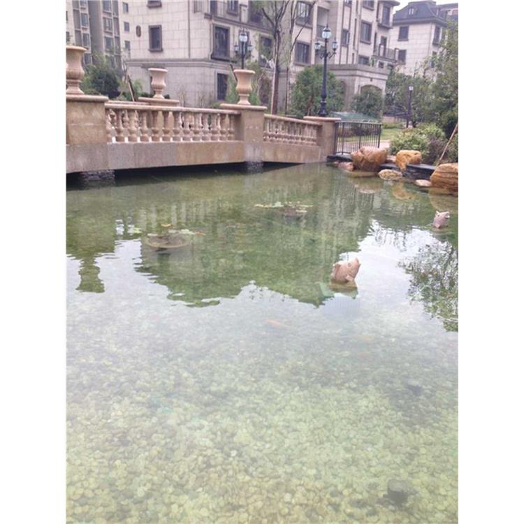盐城鱼池水净化价格 景观鱼池水净化