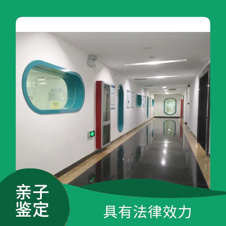 延边正规的无创亲子鉴定怎么样 多年行业经验 分析准确度高