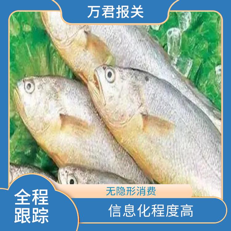 宁波沙丁鱼进口清关公司 通关时间短 全程跟踪