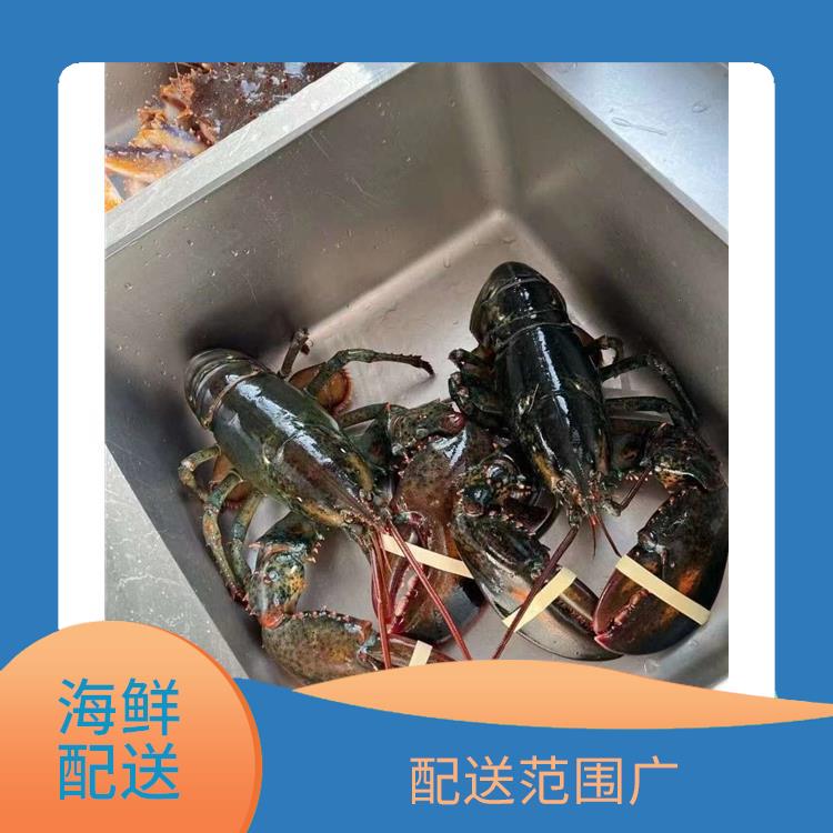大岭山海鲜配送公司 满足不同客户的需求 多样化选择