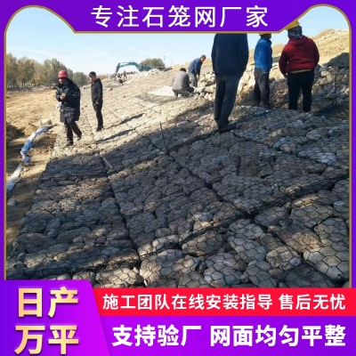 湖岸加固宾格网箱 河道绿化固滨笼 防洪合金网兜填海