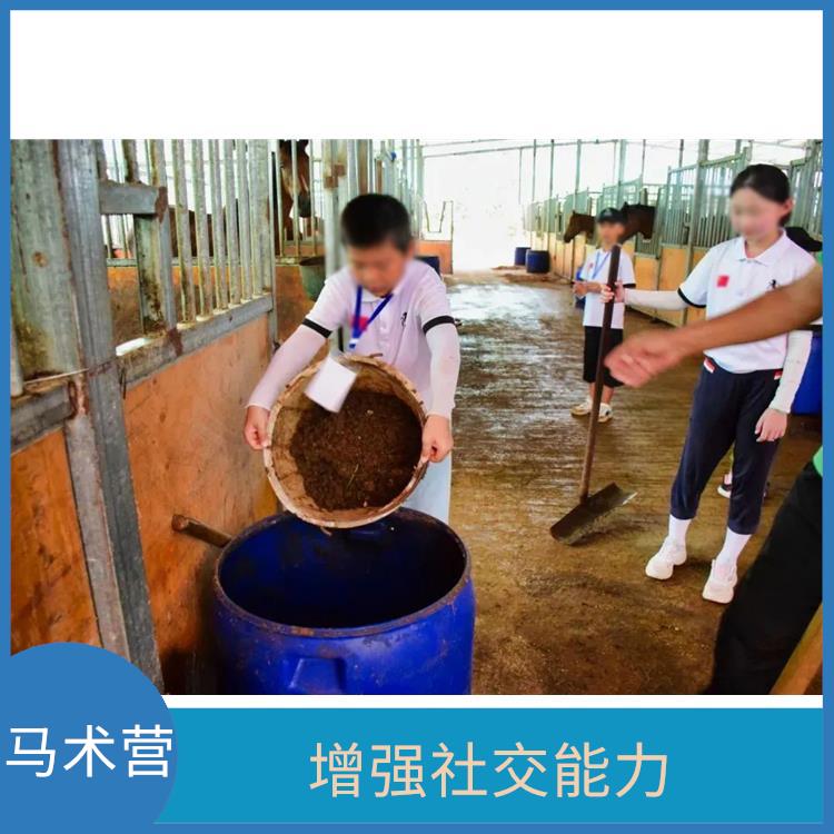 广州国际马术营 培养社交能力 增强社交能力