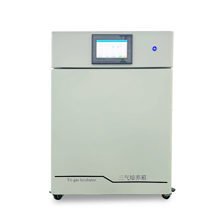 三气培养箱CYSQ-50-III 氧气氮气二氧化碳气体混合箱 细胞培养箱