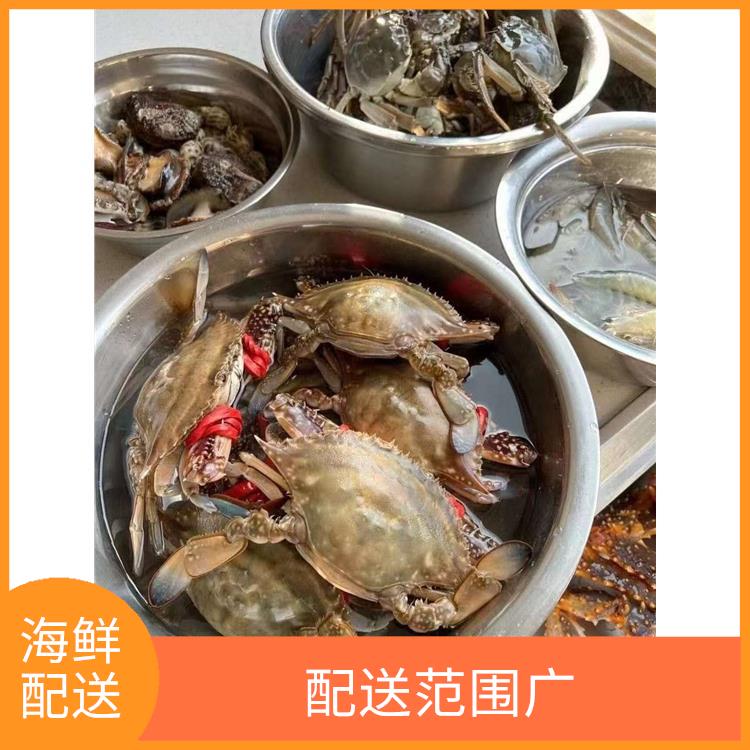 东莞道滘镇海鲜配送 多样化选择