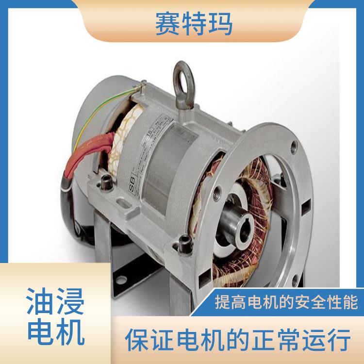 上海油浸电机价格 负载能力强 减少了电机的热损耗