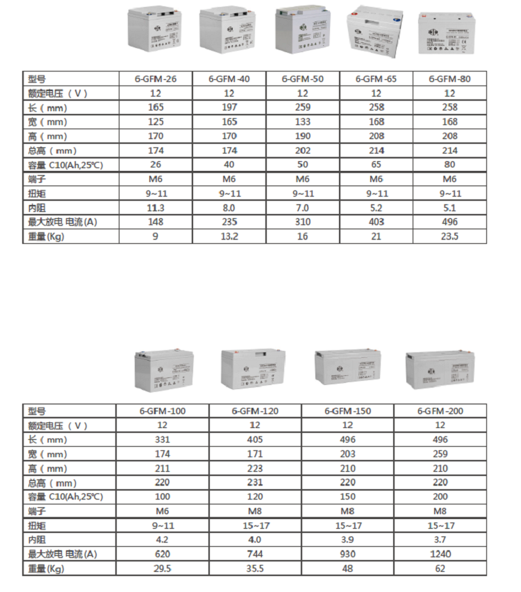 型号参数双登6FM系列