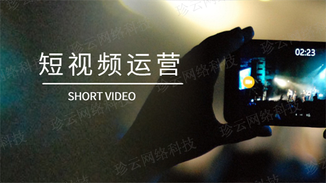 安宁营销短视频运营 珍云网络科技供应