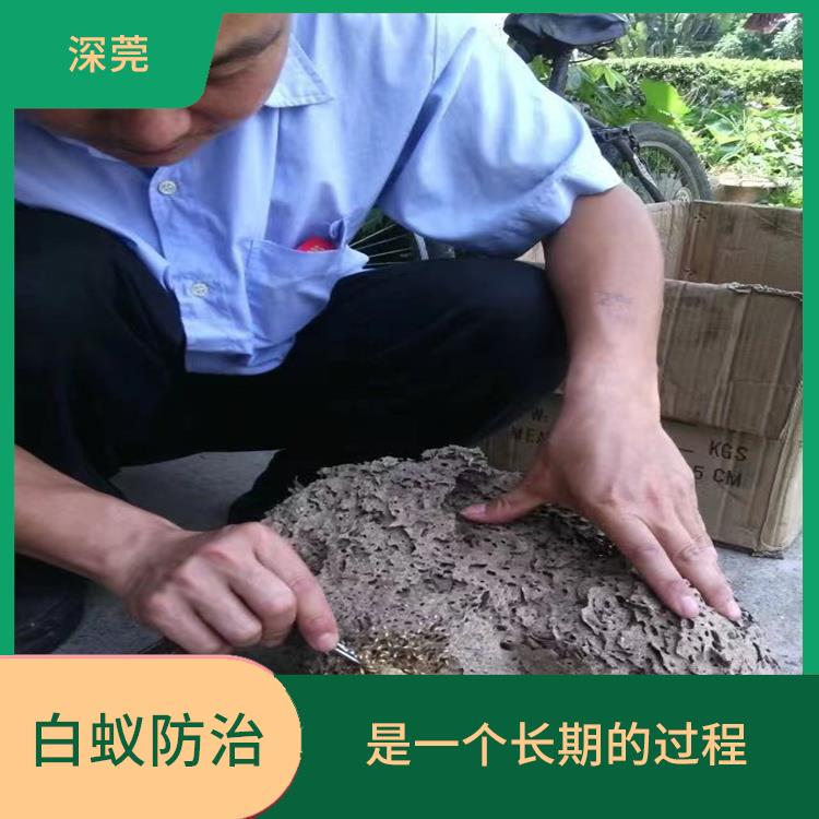 石排白蚁防治收费标准 使用专有的设备和工具 需要依靠科学的方法和技术