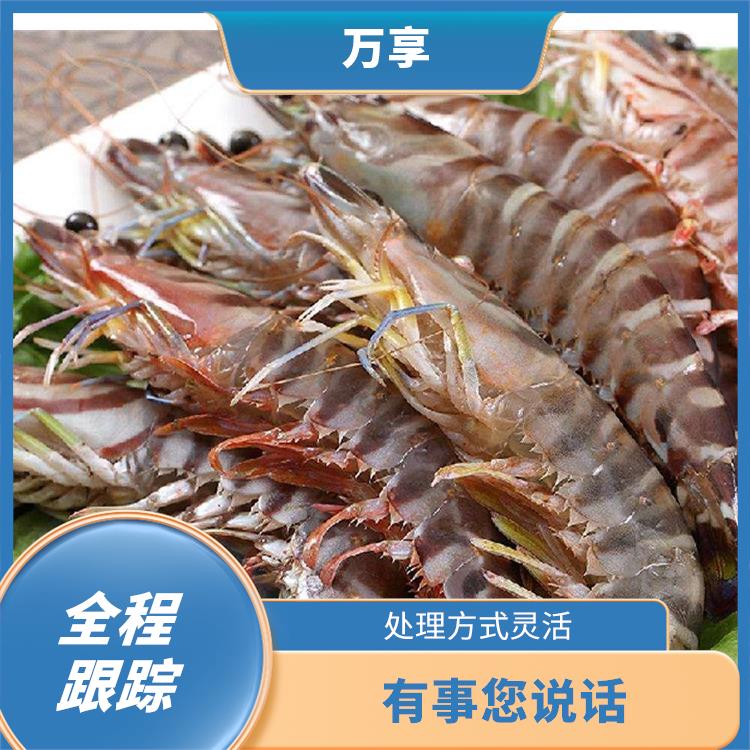 北京实力的冷冻虾进口报关 节约申报时间 多年冷冻海鲜报关经验