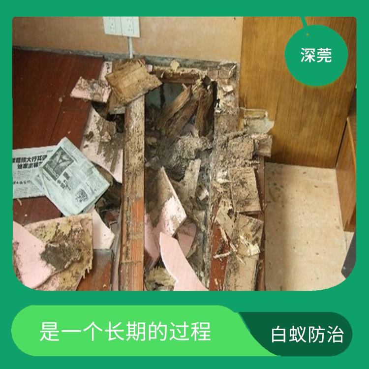 深圳白蚁灭治收费标准 需要综合考虑多种因素 需要对建筑结构进行细致的检查和处理