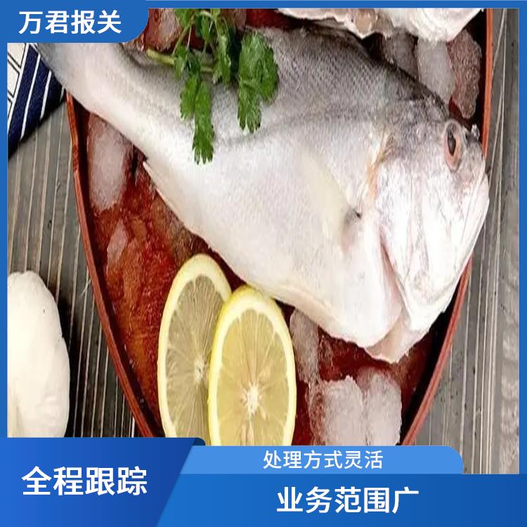 上海大西洋鲑进口清关流程 通关时间短 处理方式灵活