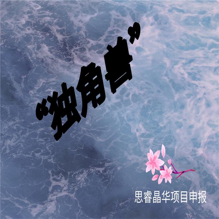 无锡专精特新代理机构