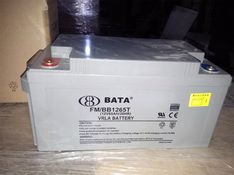 鸿贝BATA电池-FM/BB1265T 直流屏UPS