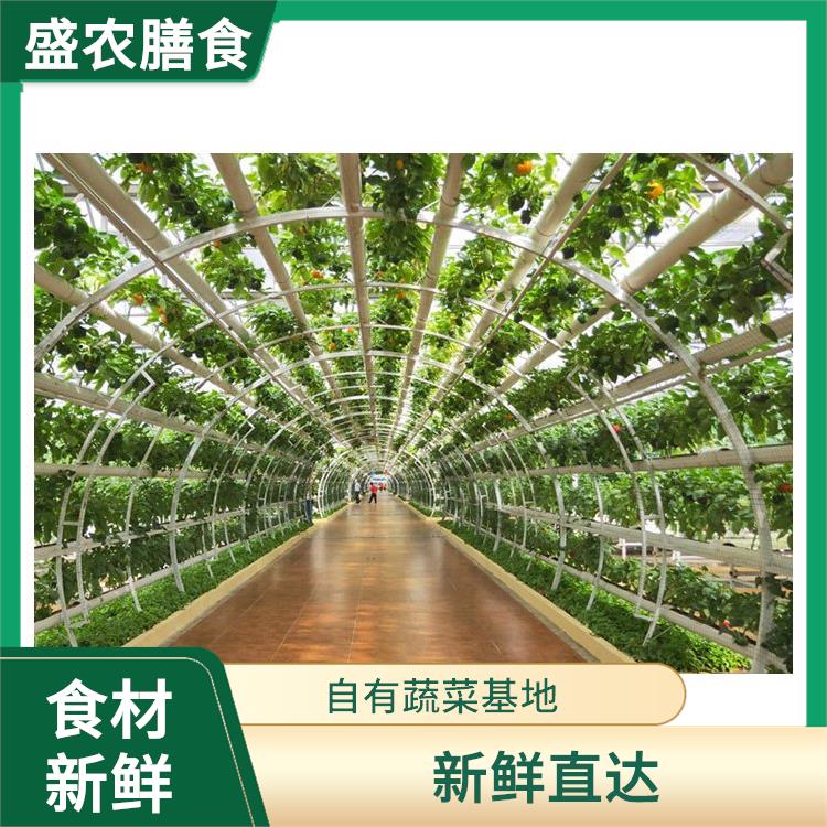 坪山蔬菜配送服务公司 食堂送菜上门服务 提供新鲜平价一站式蔬菜批发服务
