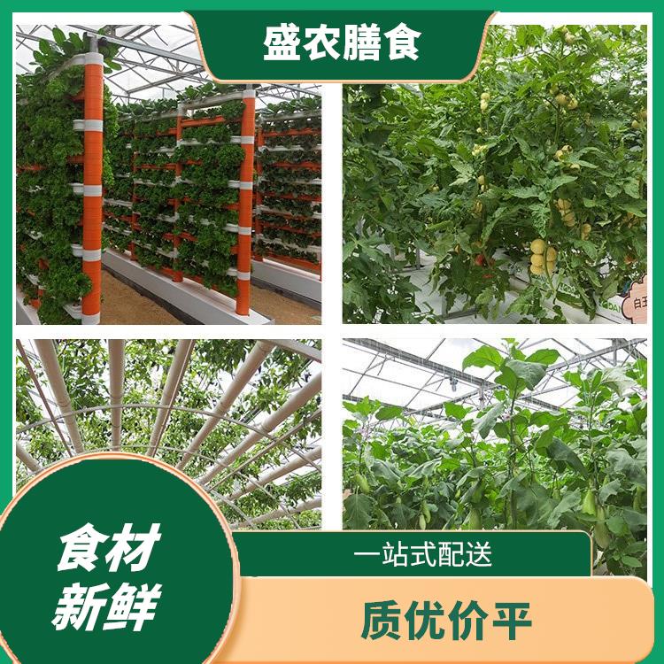 江门蔬菜配送服务公司 工厂饭堂食材配送 自有蔬菜种植基地