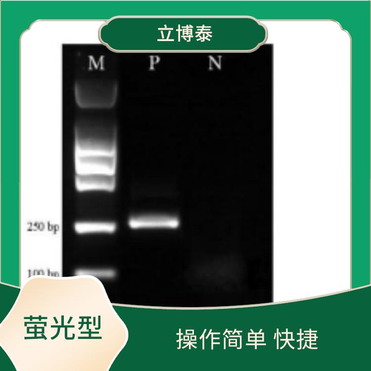 天津DNA荧光型厂家 操作简单 快捷