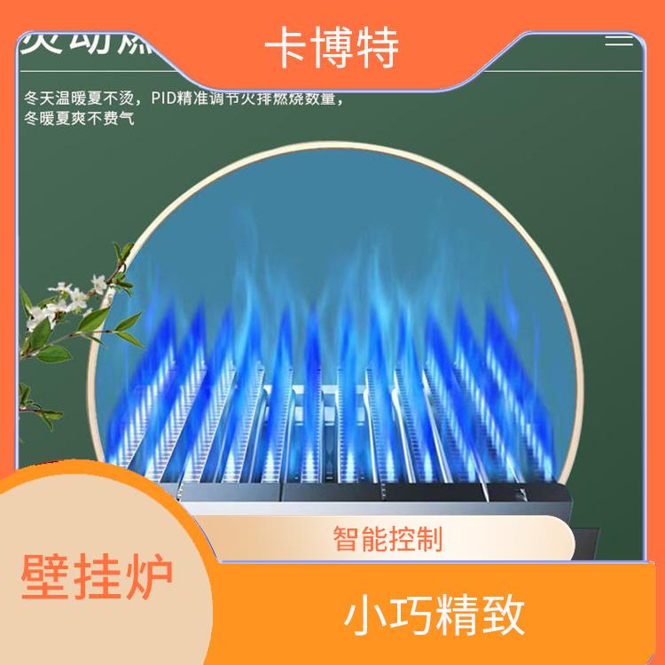锅炉厂家 热效率高 取暖壁挂炉燃烧效率高