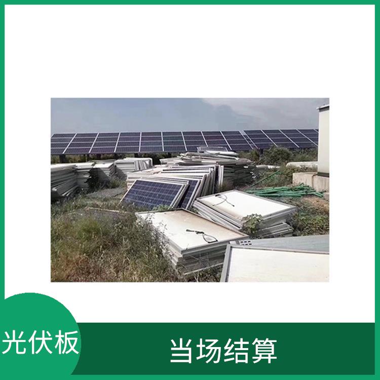 娄底太阳能光伏板回收电话 服务贴心 量大量小均可