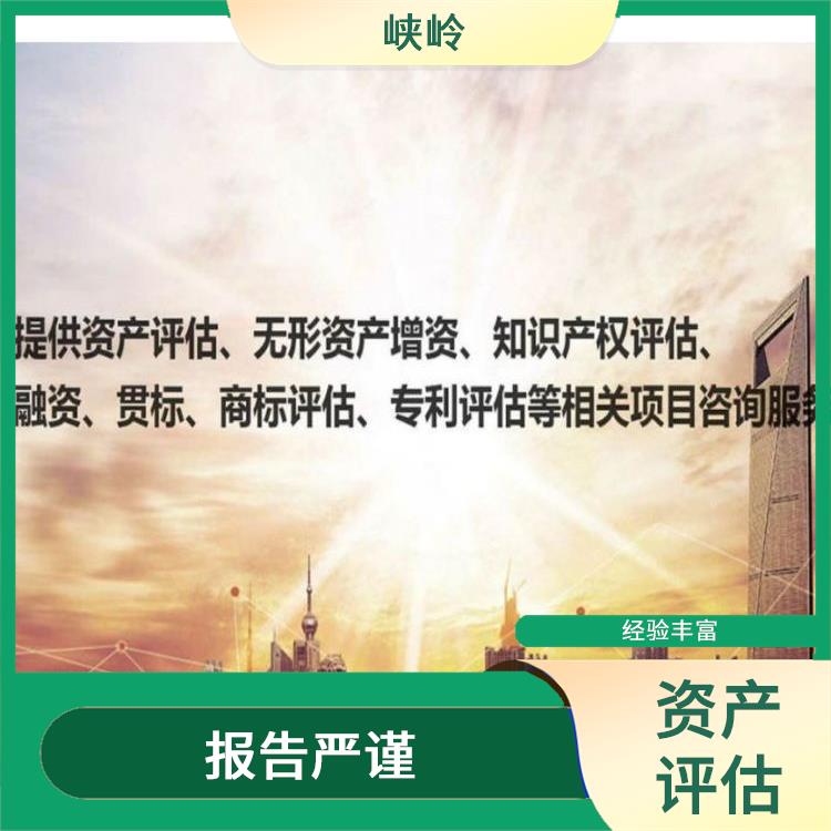 乐山资质价值评估的法律作用 可靠性较高 报告严谨